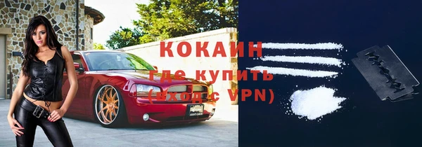 прущий лед Алзамай