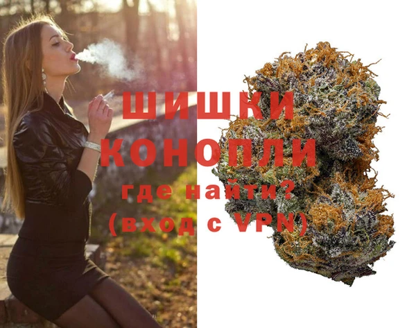 гашик Алексеевка