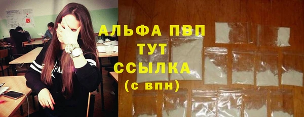 гашик Алексеевка